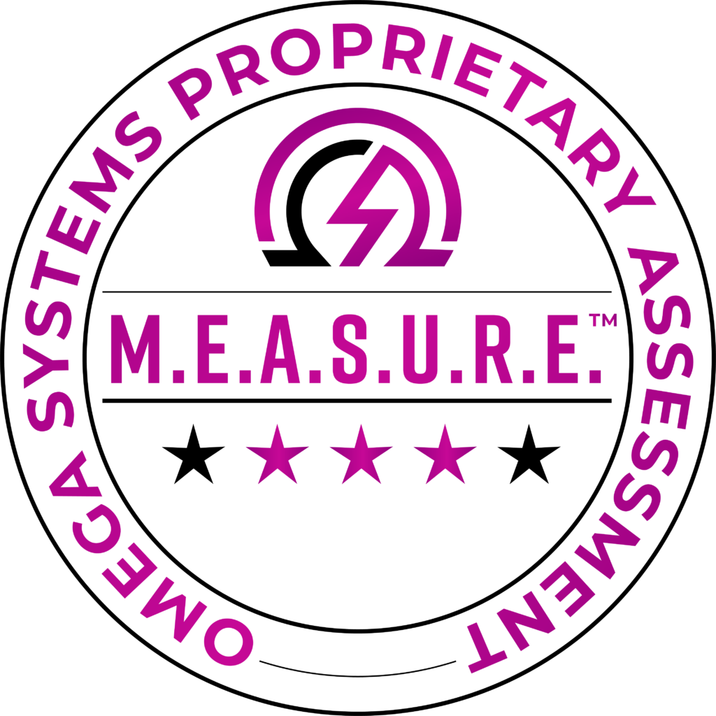 Omega Systems, LLC M.E.A.S.U.R.E Framework